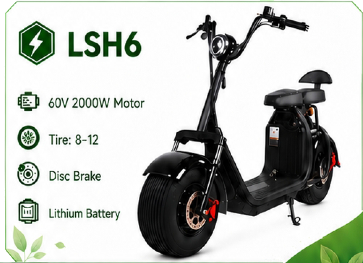 LSH6