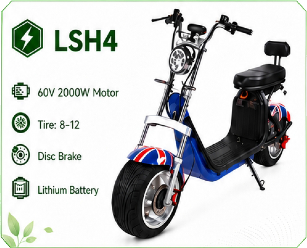 LSH4