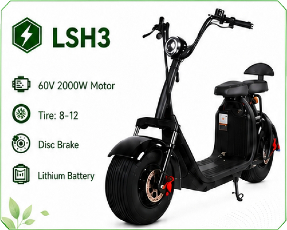 LSH3