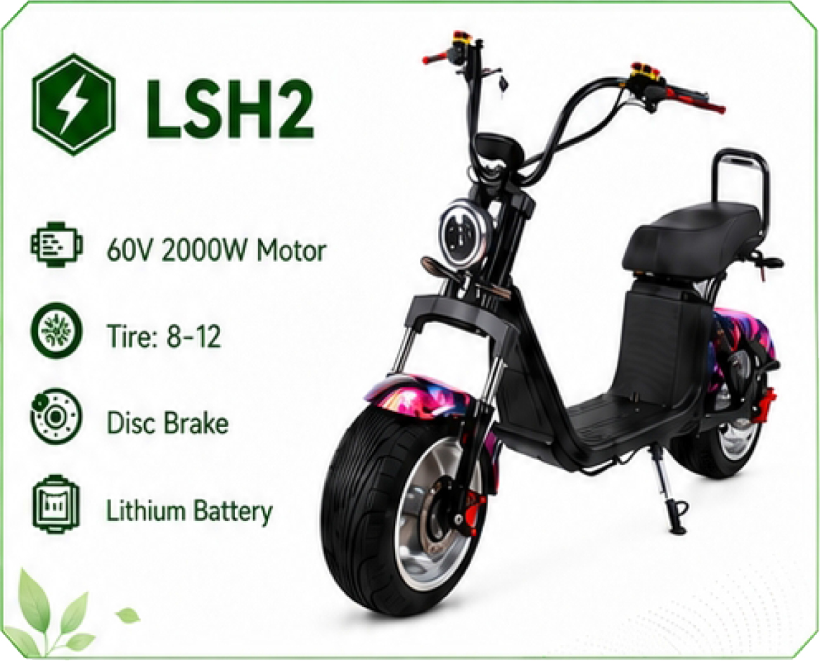 LSH2