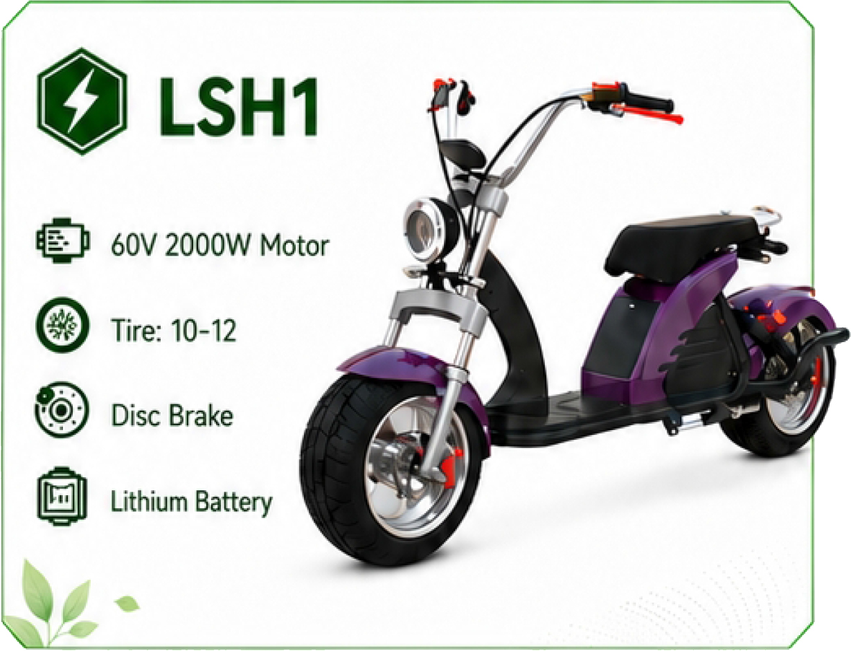 LSH1