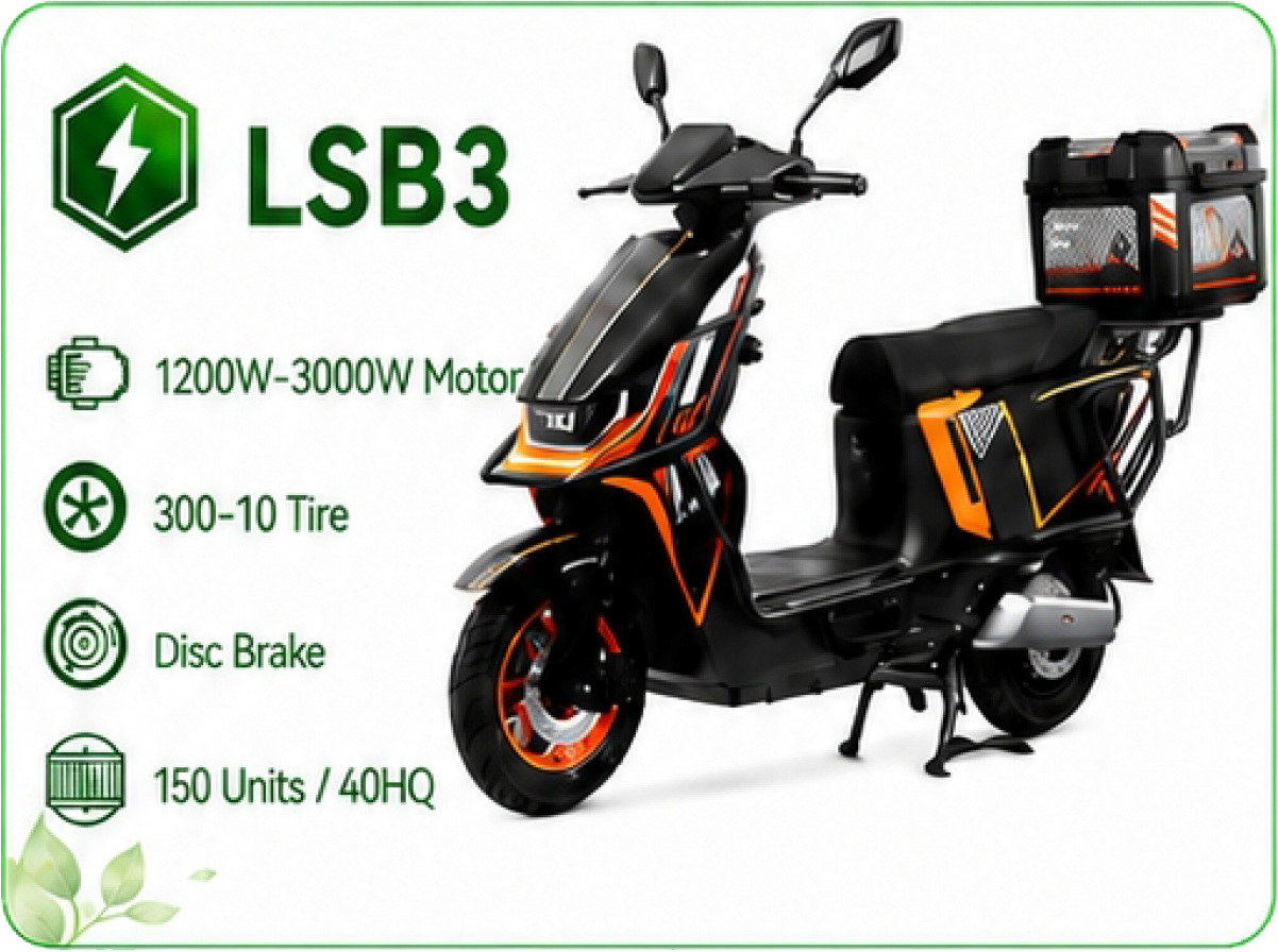 LSB3