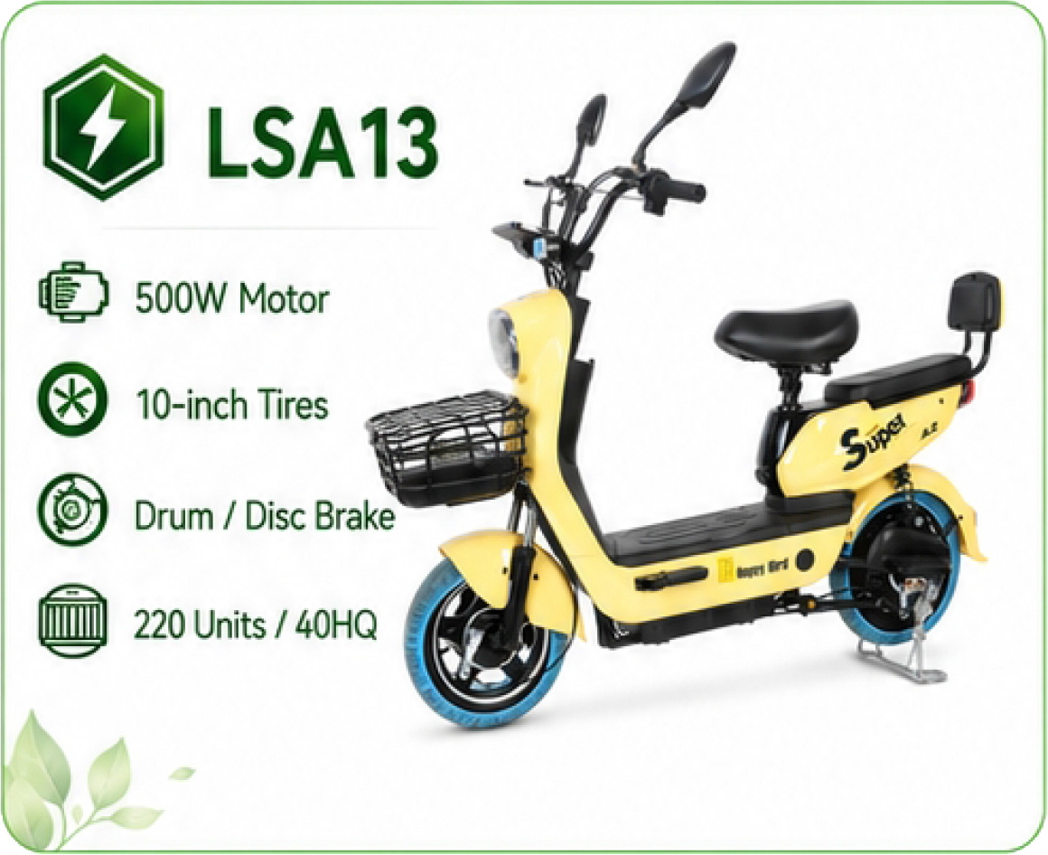 LSA13